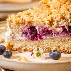 Veganer Blaubeer-Streuselkuchen mit Hefeteig Blaubeer-Streuselkuchen mit Hefeteig