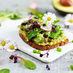 Avocado-Stulle