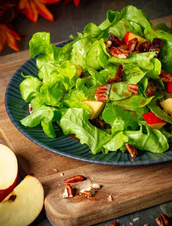 Herbstlicher Blattsalat