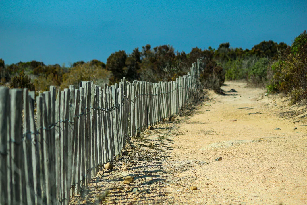 Wanderung Phare de Capu di Fenu, Korsika