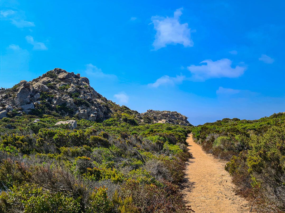 Wanderung Phare de Capu di Fenu, Korsika