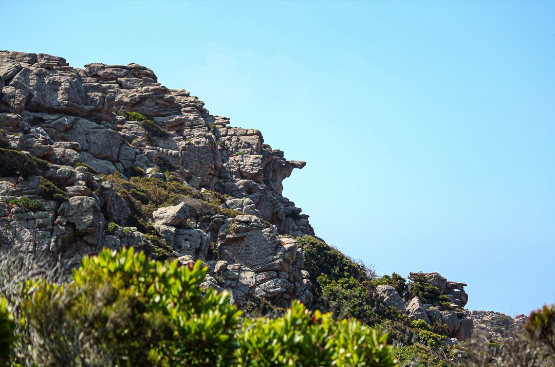Wanderung Phare de Capu di Fenu, Korsika