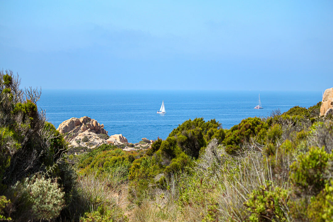 Wanderung Phare de Capu di Fenu, Korsika