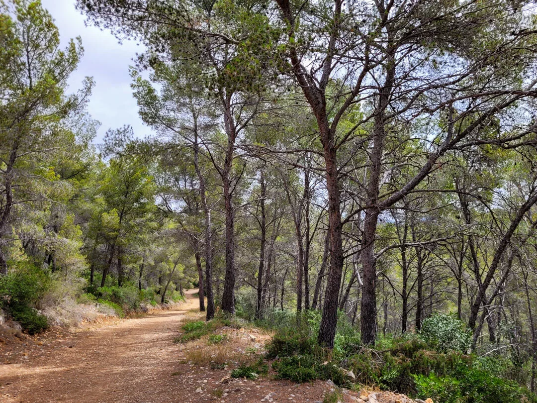 Sentier du littoral de Saint-Cyr à Bandol
