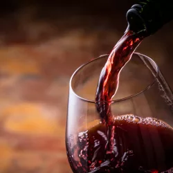Grundlagen der Weinkunde – Für Anfänger & Fortgeschrittene Rotwein