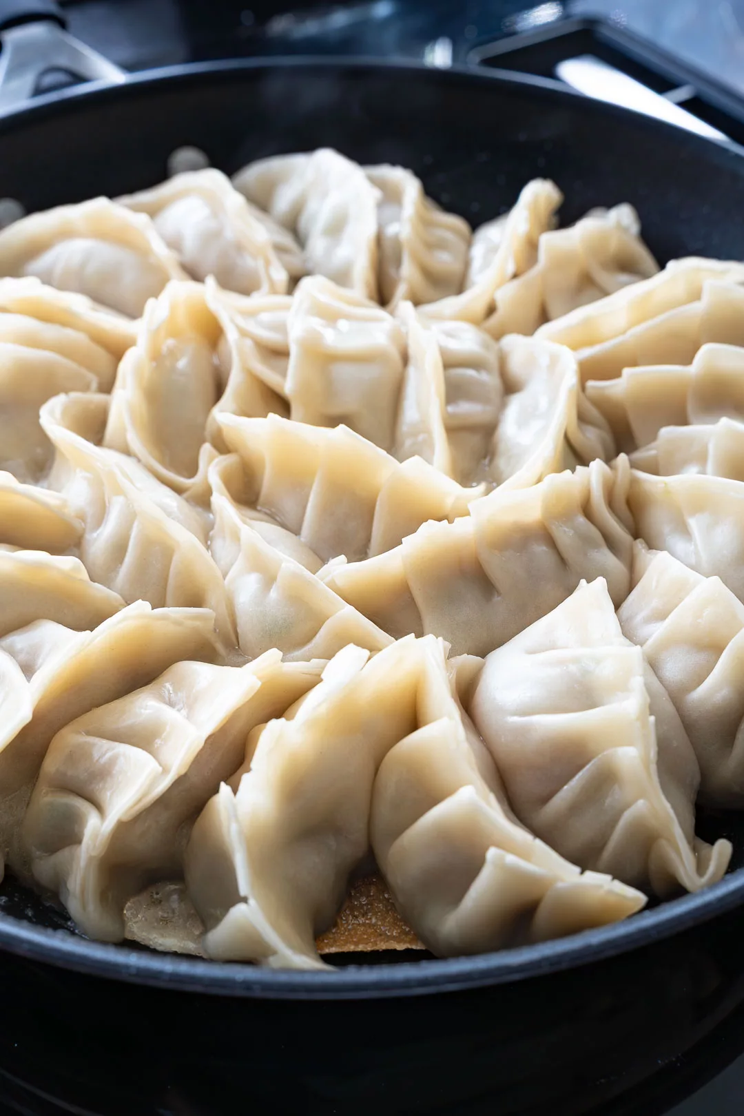 Viele Gyoza garen in einer Pfanne, während sie angebraten und gedämpft werden.