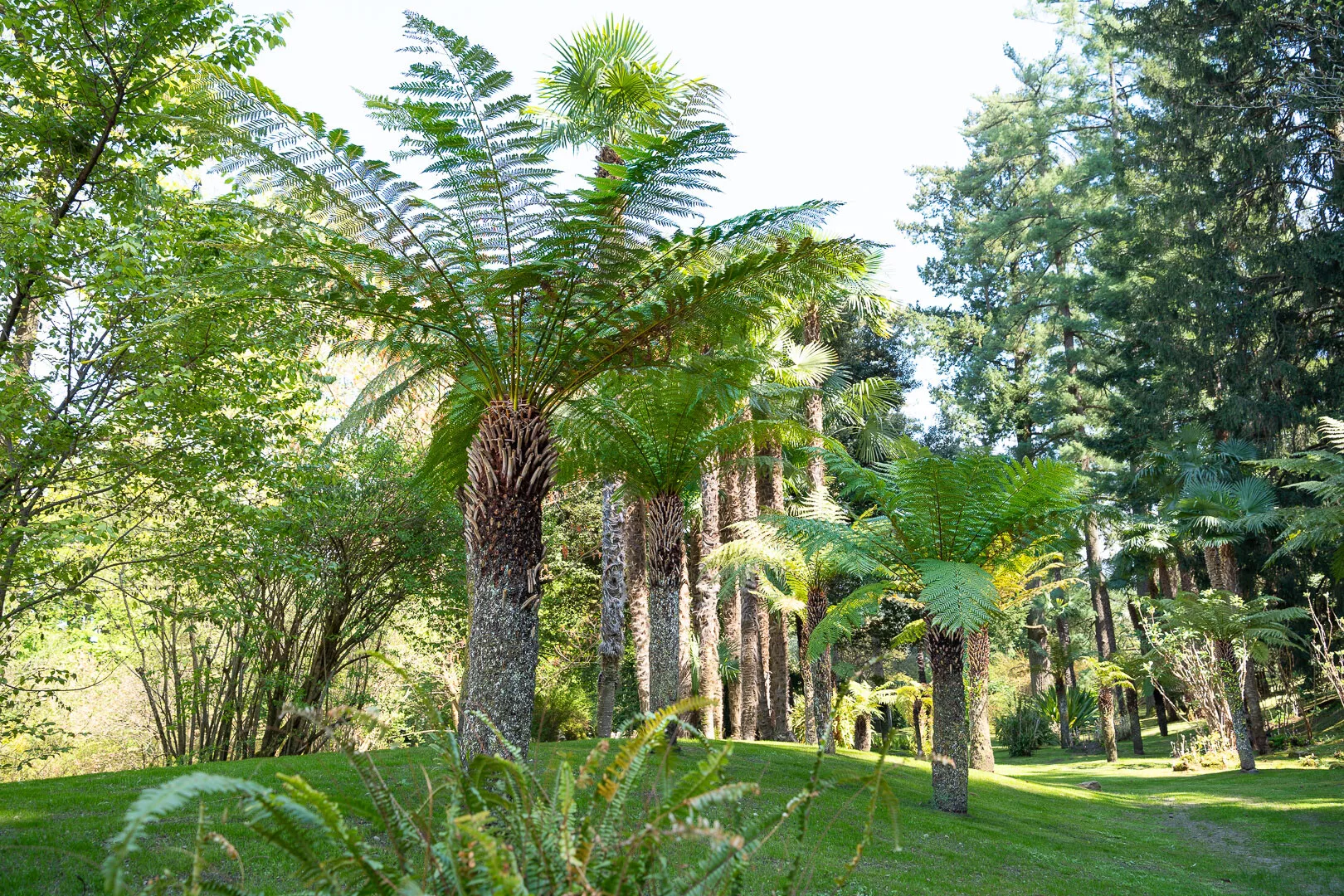 Giardini Botanici di Villa Taranto