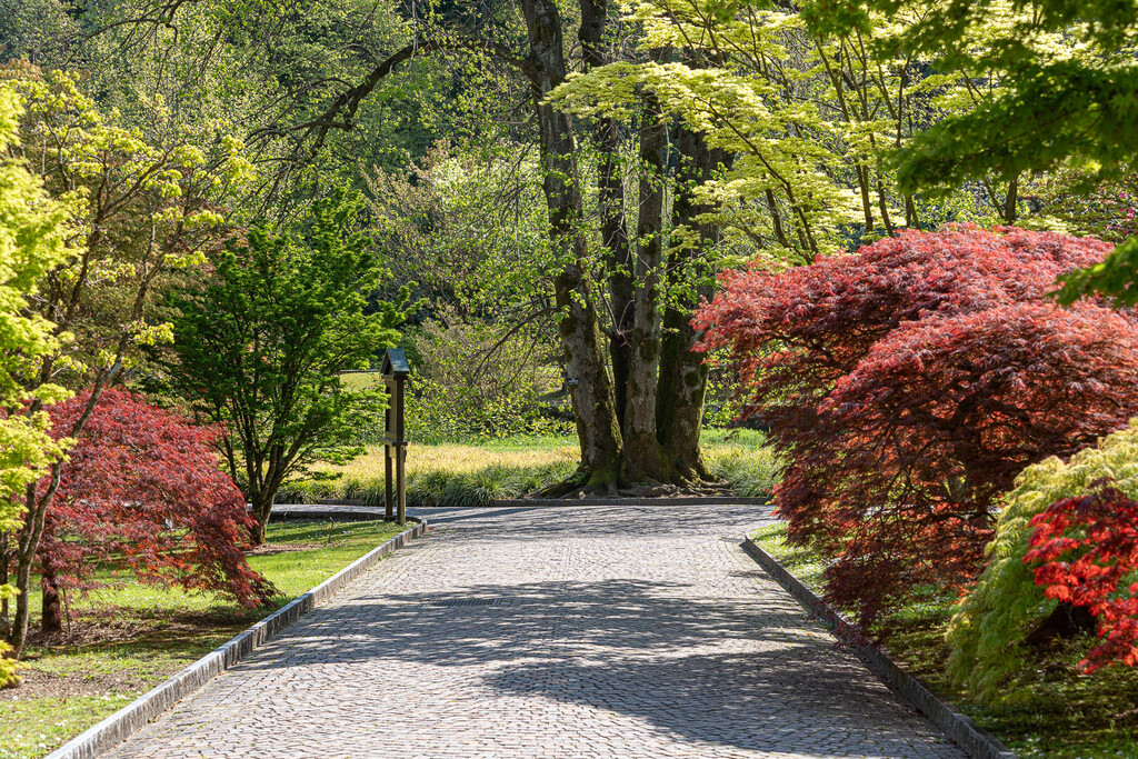 Giardini Botanici di Villa Taranto