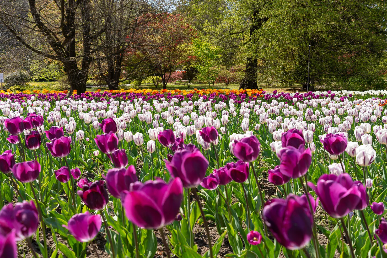 Giardini Botanici di Villa Taranto