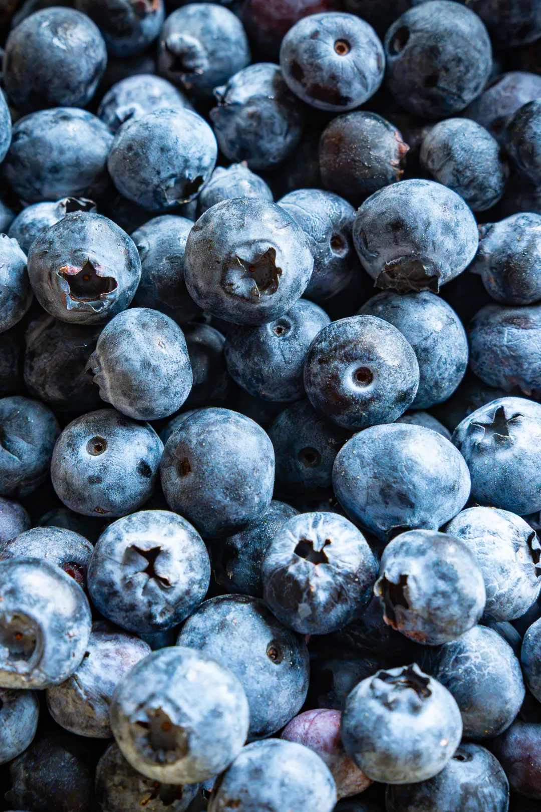 Nahaufnahme von frischen Myrtilles beziehungsweise Blaubeeren in verschiedenen natürlichen Blautönen.
