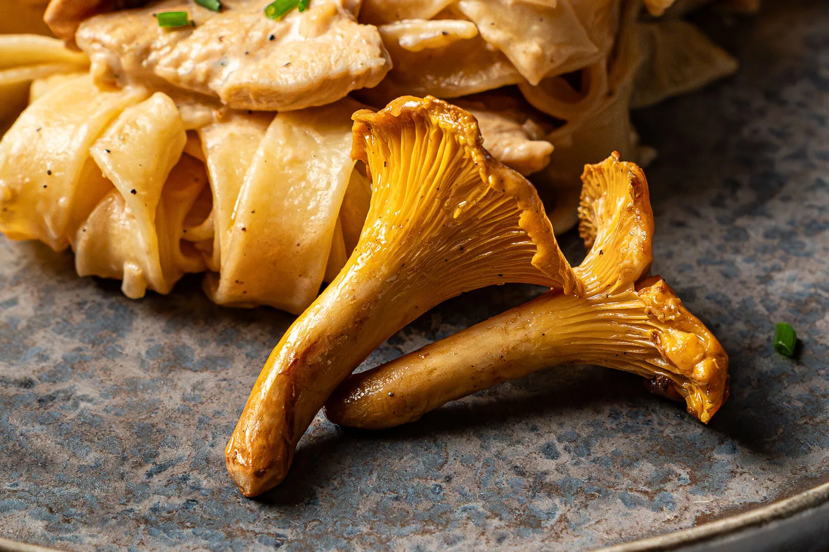 Putengeschnetzeltes mit frischen Pfifferlingen und Bandnudeln