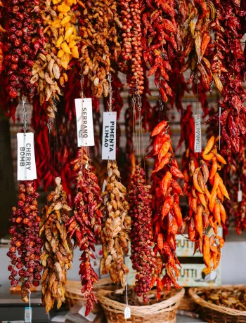 Richtig würzen mit Chili: Verschiedene bunte Chili-Sorten in Rot, Gelb und Grün nebeneinander auf einem Untergrund angerichtet.