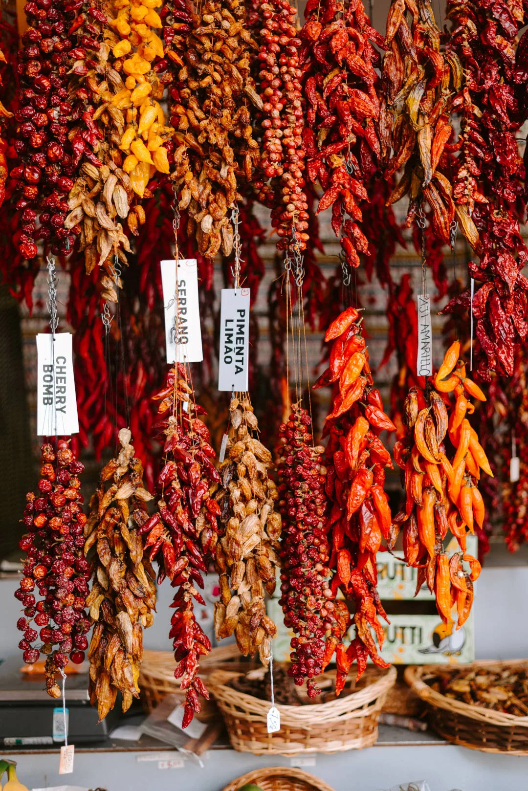 Richtig würzen mit Chili: Verschiedene bunte Chili-Sorten in Rot, Gelb und Grün nebeneinander auf einem Untergrund angerichtet.
