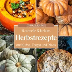6 leckere Herbstrezepte mit Kürbis, Feigen und Pilzen 4er-Collage für leckere Herbstrezepte mit cremiger Suppe im Kürbis, Kürbisstapeln und einem Streuselkuchen mit Puderzucker.