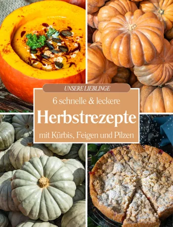 4er-Collage für leckere Herbstrezepte mit cremiger Suppe im Kürbis, Kürbisstapeln und einem Streuselkuchen mit Puderzucker.