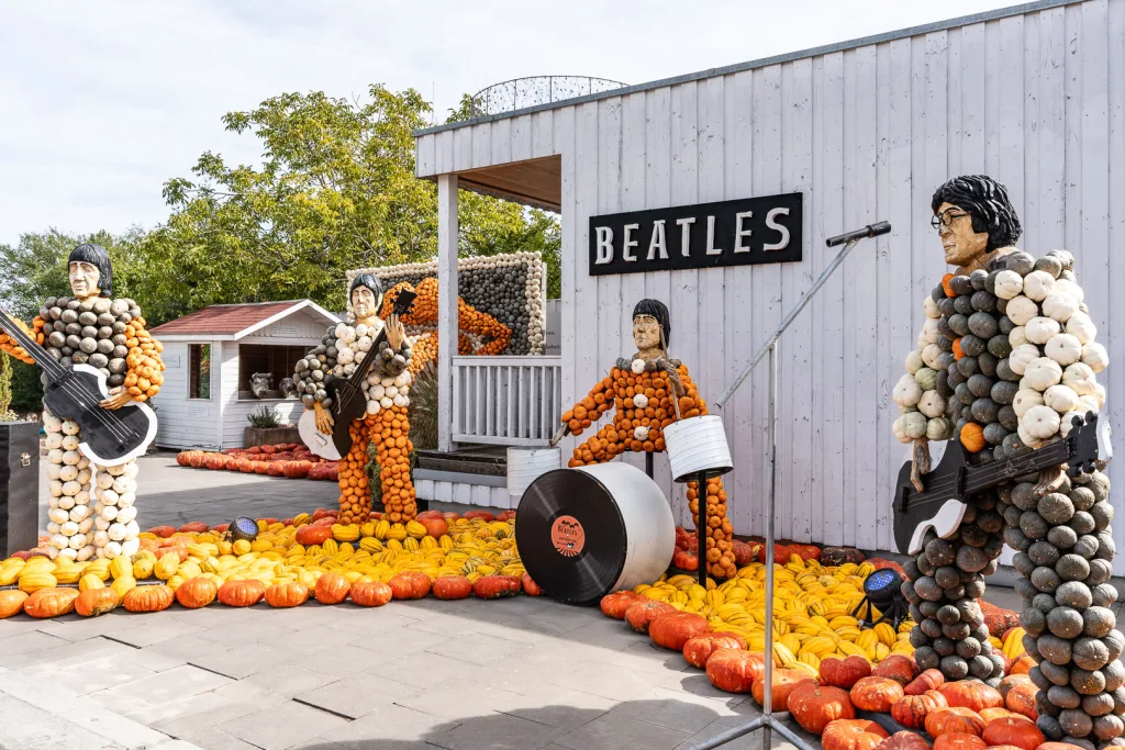 Beatles aus Kürbissen als 4 Skulpturen mit Instrumenten vor einem Gebäude, umgeben von losen Kürbissen auf dem Boden.